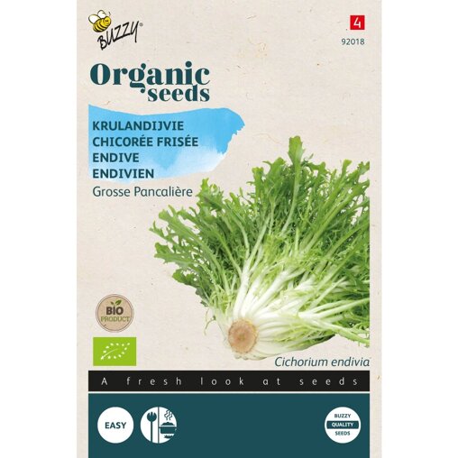 Buzzy krulandijvie Grosse Pancalière voorkant